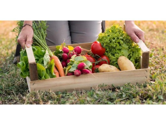 1. Zanahorias<br/><br/>Las zanahorias pueden sembrarse en cualquier época del año y crecerán sin problema. Solamente cultiva en macetas bien profundas con tierra orgánica y verás cómo en poco tiempo tendrás muchas zanahorias en casa. Este vegetal contiene antioxidantes, fibra dietética y por supuesto vitamina A, por lo que son ideales para mantener una excelente salud visual. Además fortalece los dientes, encías y ayuda a combatir el estreñimiento.<br/>