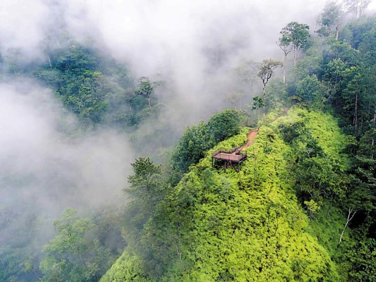 2. Acampar bajo las estrellas en el Parque Nacional Cerro Azul Meámbar. Las parejas de espíritu aventurero no podrán resistir la idea de pasar una noche emocionante en Panacam, entre la exótica vegetación y bajo el cielo estrellado. Haz tu reserva en PANACAM Lodge, un acogedor hotel de montaña rodeado de la belleza natural y escénica del parque nacional. Puedes escoger entre las cabañas o las tiendas de campaña, cualquiera que sea tu elección valdrá la pena.