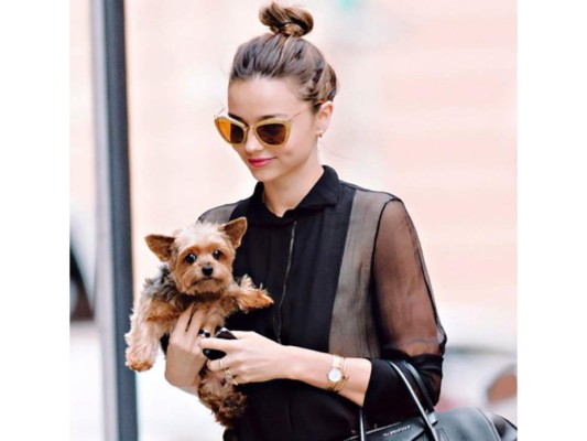 Miranda Kerr disfruta ir de compras con su mini mascota.