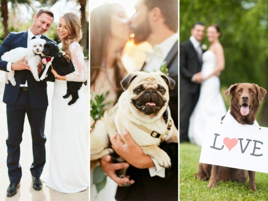 Perros, protagonistas de las bodas