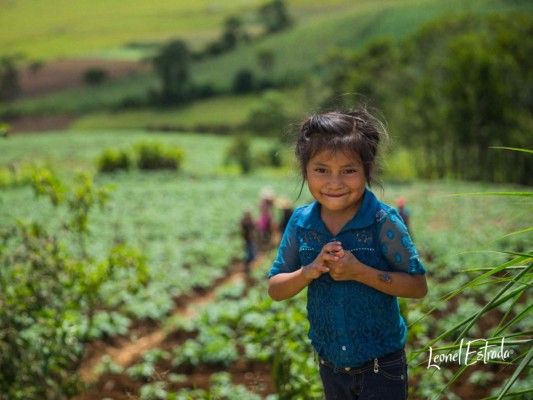 Mientras su madre trabaja en la cosecha en el campo de hortalizas, esta pequeña disfruta del sol de la mañana