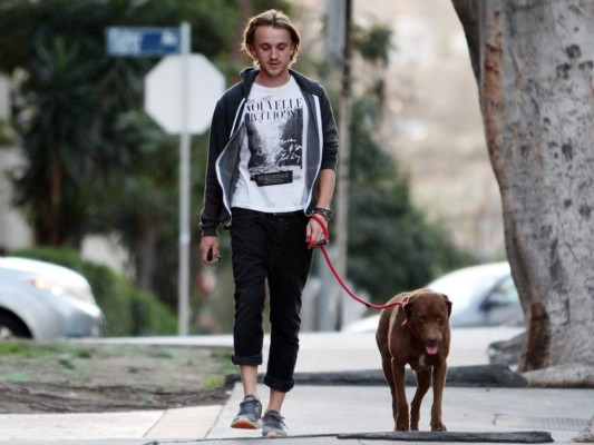 Tom Felton actor de Harry Potter con su perro Canela.