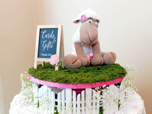 Baby Shower para Angela Andonie  