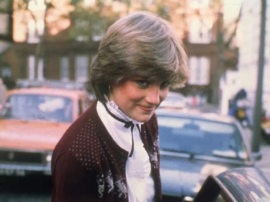 Diana: En sus propias palabras <br/> <br/>En 2017 se estrenó el film- documental el cual mostraba una serie de videos de Diana en los que habla fuertemente sobre su situación.<br/>