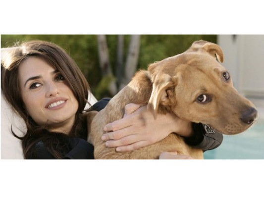 Penélope Cruz y su amado perro