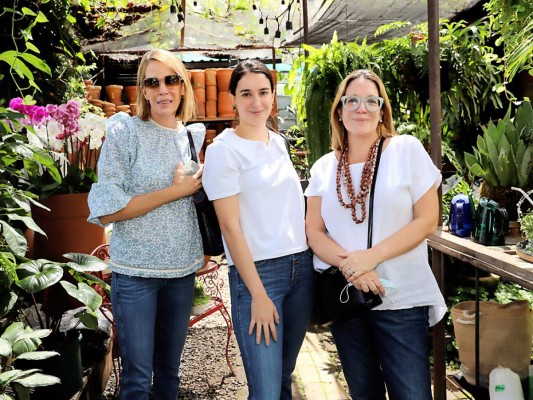 Navidad en octubre en Jardinería Smart