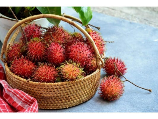 El rambután o lichas, como comúnmente las conocemos, es una de las frutas más exóticas del mundo, además de eso ofrece múltiples bondades para nuestro organismo por lo que su consumo es muy recomendado. Por esa razón, te daremos a conocer algunos de los beneficios que provee.
