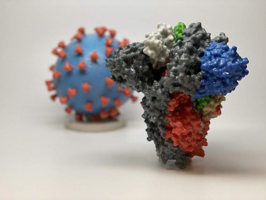 ¿Qué se sabe de la nueva cepa de coronavirus?  