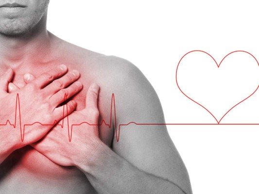 Apoyo Cardiovascular: Gracias a su alto contenido en ácidos grasos, el atún es ideal para reforzar la circulación y prevenir enfermedades cardiacas.