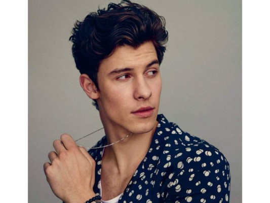 12. Shawn Mendes.