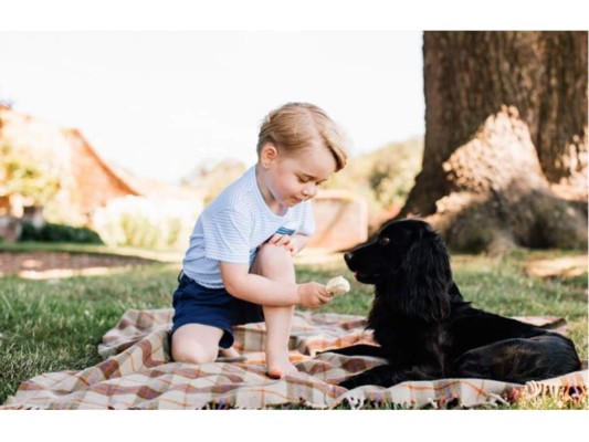 El Príncipe George, es el primer hijo entre el Príncipe William y Kate Middleton, quienes son los Duques de Cambridge, este 22 de julio el pequeño celebró su cumpleaños número cinco. George siempre se ha caracterizado por ser un niño muy adorable y consentido. Ve en esta galería sus momentos más tiernos.