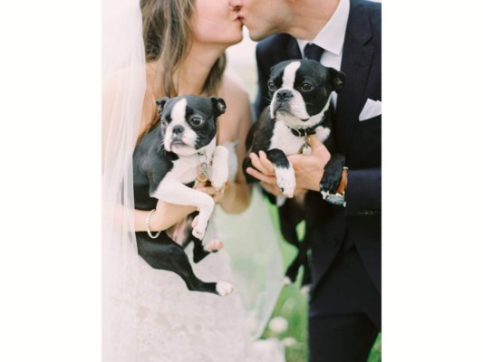 Perros, protagonistas de las bodas