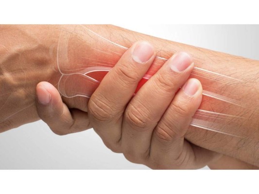 Promueven la salud de los huesos<br/>Gracias a que son ricos en minerales esenciales como hierro, calcio, fósforo, magnesio, zinc y cobre.<br/>