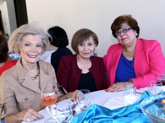 Almuerzo solidario en residencia de los embajadores de Chile