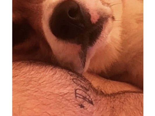 Chris demostró su gran amor hacia Dodger al hacerse un tatuaje en su honor, y aunque nunca lo ha mostrado a totalidad, aquí te mostramos una foto que lo deja en evidencia.