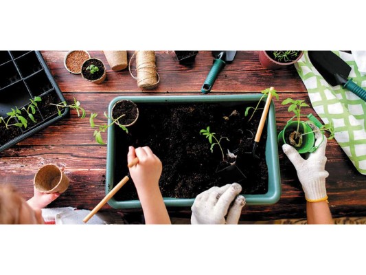 7. Cultiva un huerto en tu patio. No necesitas un gran jardín, con unas maceteras y las ganas puedes comenzar a sembrar lo esencial: hierbas para la cocina, tomatitos y lechugas... Es muy fácil, hay miles de tutoriales en youtube y además es adictivo, super relajante y satisfactorio, especialmente las primeras veces que comes algo que sembraste. Lo que puede llegar a ser un poquito más complicado es hacerlo de manera orgánica, utilizando o haciendo tu propia composta, no usando pesticidas ni químicos. Pero para esto solo necesitas deseo y curiosidad.