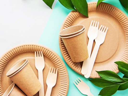 Platos y cubiertos desechables orgánicos<br/>Si realmente necesitas utilizar vajillas desechables, qué mejor que utilizar productos que sean amigables con el planeta. Existen productos desechables hechos a partir de semilla de aguacate por lo que son completamente orgánico y consiente.<br/>