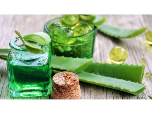 La sábila o el aloe vera es considerada una planta privilegiada. En su interior esconde diversas propiedades para la salud, desde las afecciones de la piel hasta el más complejo resfriado.