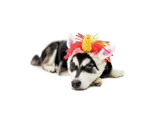Gorro tejido a mano con suave cuerno de unicornio y colorida melena de hilo by Zoo Snoods<br/>