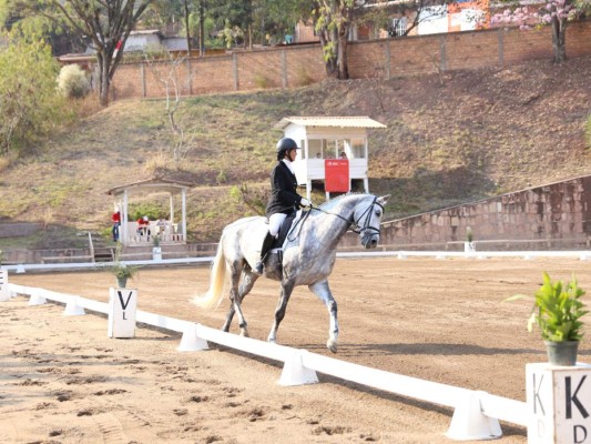 Campeonato Nacional de Adiestramiento 'Copa Bac'