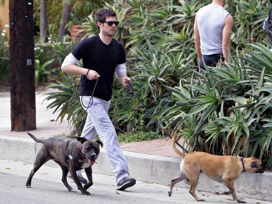 Adam Brody aprovecha hacer ejercicios con sus fieles amigos Penny y Lane.