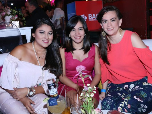 Pink Party for a Cause segunda parte