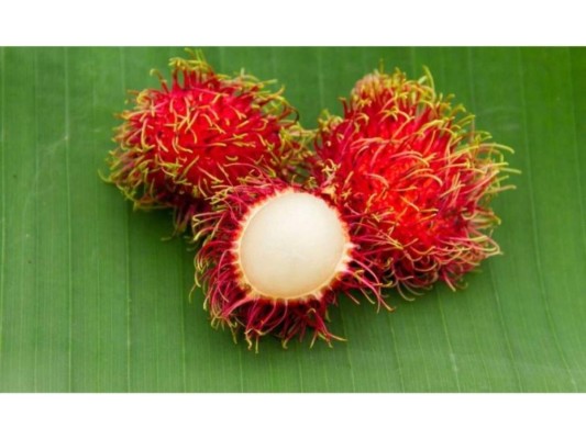 Contiene hierro: Esta increíble fruta, además de contener vitamina C, provee hierro a nuestro organismo por lo que ayuda a transportar oxígeno de los pulmones a los tejidos.