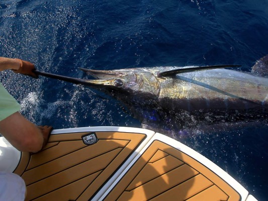 Días de pesca en el Mar Caribe  