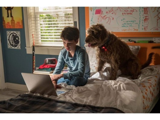 Una Mente Canina <br/>Oliver, descubre la manera de escuchar lo que piensa su perro y une fuerzas con el fin de para mantener unida a su familia.<br/>
