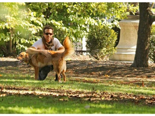 Ryan Reynolds y Baxter