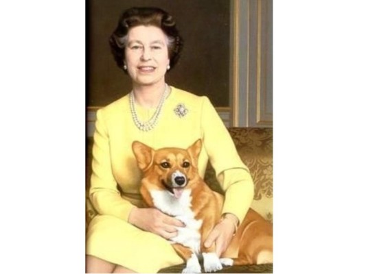Hablando de mascotas famosas, en los primeros lugares se posicionan los corgis de la Reina Isabel. Lamentablemente hace unos meses pasó a mejor vida uno de los cuatro perros, llamado Willow.