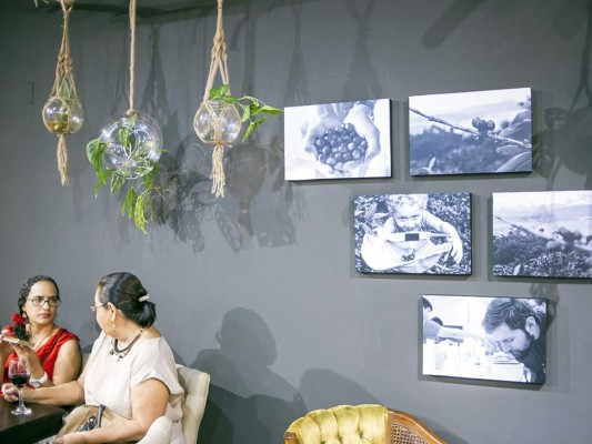 Plantas naturales con impresiones espontáneas en las paredes.