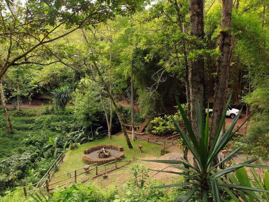 Recorrido por La Estancia Café y finca Las Orquídeas