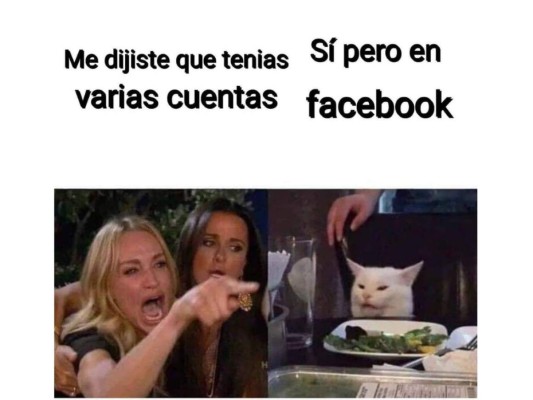 ¡Los mejores memes del famoso gato en la mesa!