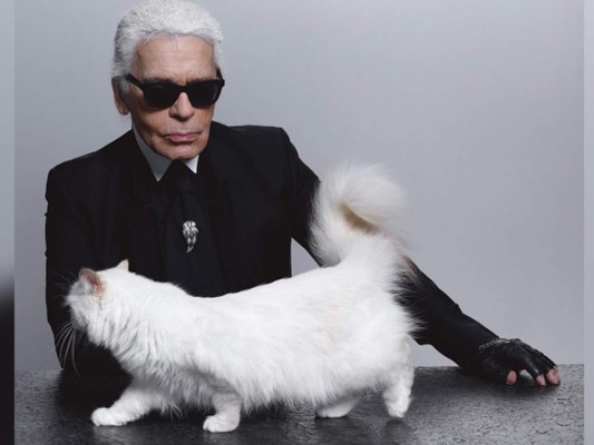 La gata siamesa de Karl Lagerfeld. Ella cuenta con su propio perfil de Twitter (@ChoupettesDiary) y aunque su cifra de seguidores es menor, tiene hasta la fecha 37.000 mil. La introdujo en sociedad y siente por ella una auténtica obsesión. Choupette se alimenta de langostinos, tiene un iPad y dos asistentas.