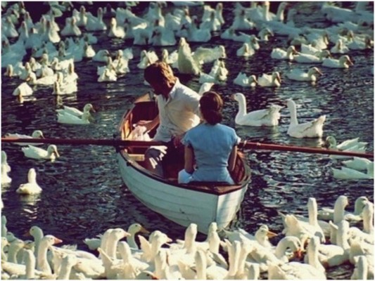 5. La producción decidió comprar aves, para criarlas en el lago y ser entrenadas y así crear la escena perfecta e icónica de la película.