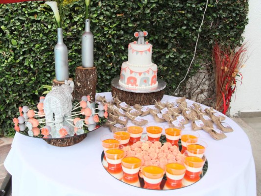 Baby shower para Danelia Bocanegra