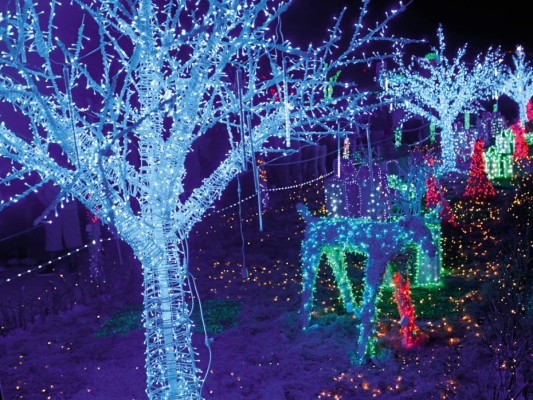 Árboles, renos y figuras alusivas a la época son parte de la decoración en la Villa de Navidad dispuesta por la Alcaldía Municipal de Tegucigalpa<br/>
