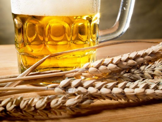 Los ingredientes básicos para hacer cerveza son malta, agua, lúpulo, levadura y azúcar