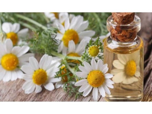 Manzanilla<br/>Reduce la inflamación y el picor. Pon en la nevera una infusión de esta planta alrededor de 20 min y luego aplica sobre la zona.<br/>