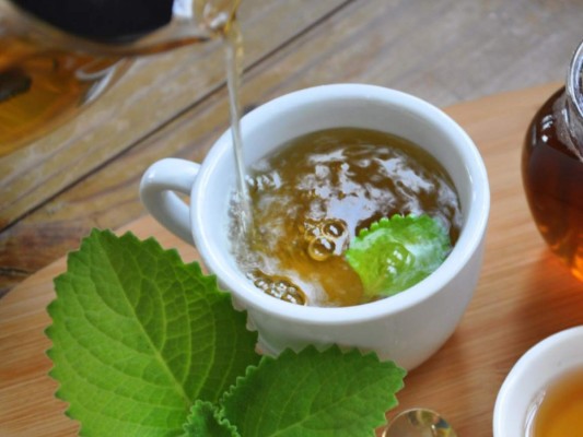 Beneficios del Té de Orégano