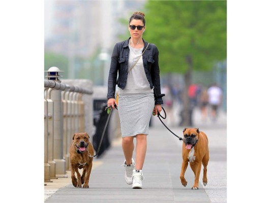 Jessica Biel aprovecha a caminar con sus perros: Bearlie y Tina.
