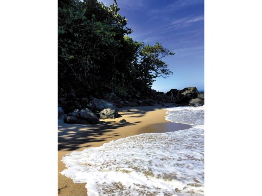 6. Día de playa en el Triunfo de la Cruz. Tela ostenta orgullosa muchas de las playas más hermosas del Caribe centroamericano. Nuestro destino es Triunfo de la Cruz, una aldea garífuna rodeada por la playa más escénica de esta ciudad costera. Te recomendamos el restaurante Rosa Negra en Villa Escondida, su beach club ofrece comodidad bajo el tibio sol y una exquisita gastronomía. Foto Brenda Ortez