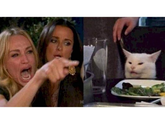 ¡Los mejores memes del famoso gato en la mesa!