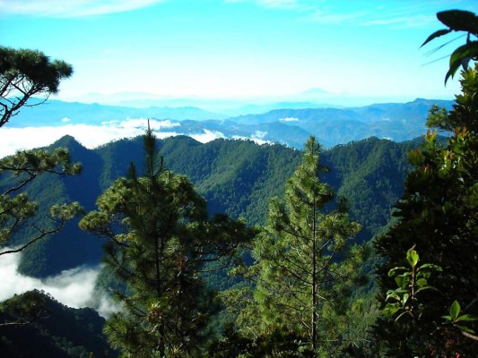 13. Tocar el cielo en el Parque Nacional Celaque. Atrévanse a emprender una caminata a este sitio natural protegido, formado por montañas, mesetas y bosque nuboso, donde se localiza el punto más alto del país. Las vistas les robarán el aliento. Para pasar la noche reserva en Casa Celaque, su ambiente romántico enamora.
