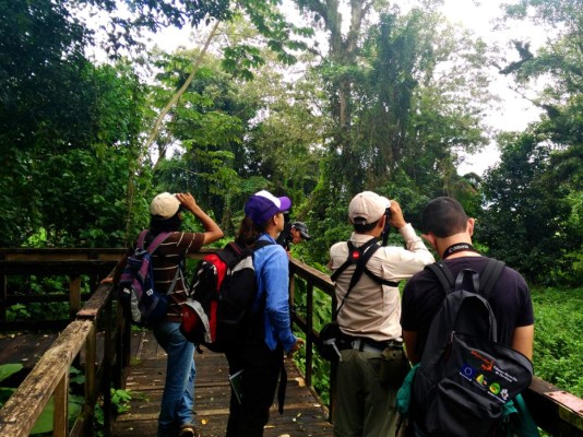 4. Caminata por el Parque Nacional Cerro Azul Meámbar. Si deseas una conexión real con la naturaleza y refrescar el alma en un lugar de increíble belleza y vida silvestre, este santuario es sin duda el spot idóneo para disfrutar un día inolvidable, justo en el sur de Santa Cruz de Yojoa.