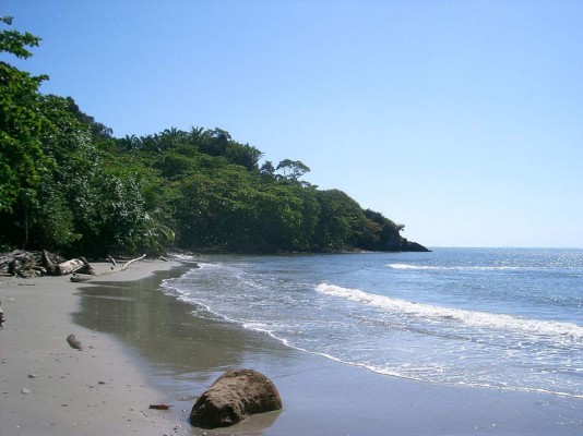 7. Día de playa en el Parque Nacional Jeanette Kawas. ¿Estás listo para tener las mejores vacaciones de tu vida? Ponte tus gafas y cámara en mano, aventúrate a un viaje increíble entre manglares, 35 kilómetros de playas blancas, arrecifes y vida silvestre la bahía de Tela en su máximo esplendor.