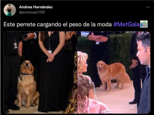 Los memes más divertidos de la Met Gala 2021