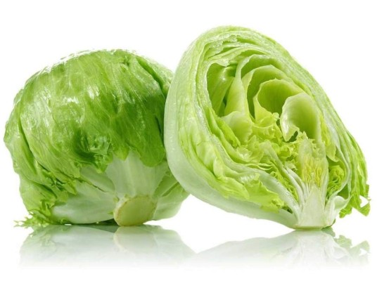 Lechuga repollada.