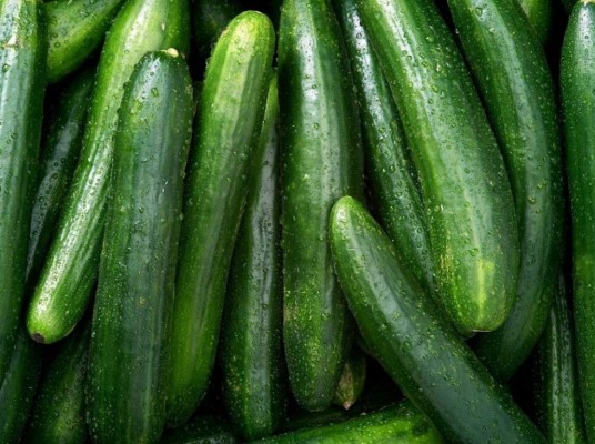 Pepino.